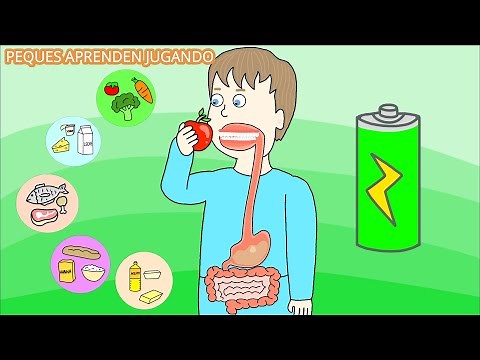 El sistema digestivo para niños. Video del aparato digestivo y sus partes. De PequesAprendenJugando