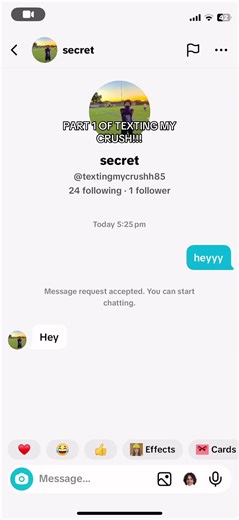 Texting My Crush: The Secret Confession