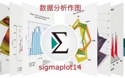 sigmaplot作图，带误差棒的柱状图