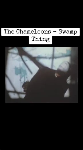 Exploring 'Swamp Thing' by The Chameleons: A Hidden Gem