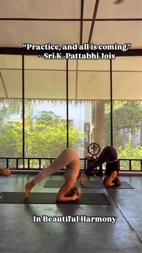 Strength in unity, balance in every breath. ✨🌿 Watch our lead teacher, Valerie, and fellow teacher (and student of Valerie), Fern, find harmony through synchronized headstand leg raises, embodying the dedication and wisdom shared in our 200-hour teacher training. Join us to deepen your practice, align mind and body, and unlock the teacher within. 🧘‍♀🌞 | Yama Yoga Studios