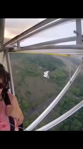 Cute Cat Adventures in a Light Aircraft Cockpit