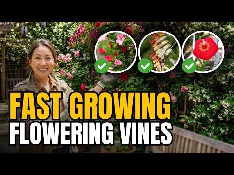 15 Fast-Growing Flowering Vines for INSTANT Backyard Privacy & Beauty 🌸🌿