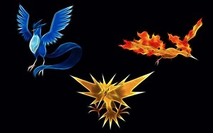 How to Find and Catch All 3 Legendary Birds in Pokémon Games