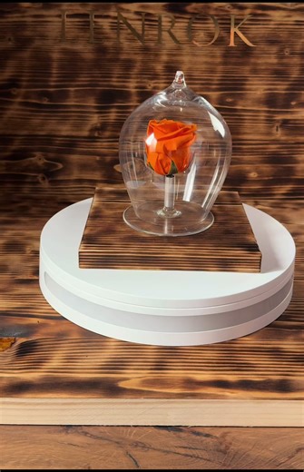 Finding Beauty in Brokenness