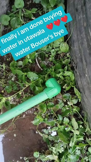 Water Delivery Experience in Utawala