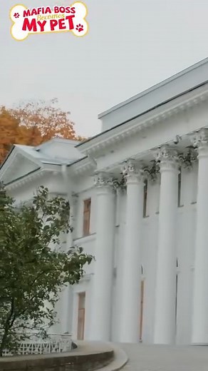 Watch👉 https://ds.reelhunter.online/2390729685010489344 🌟"God, I hope my skills fixing dogs' balls was enough to fix you." Veterinarian Brooke Snyder wipes a mafia boss's blood from her hands, she's just saved his life. Silas Voss lay shot and dying, until Brooke's canine medical skills kicked in. She gets the bullet out - before vanishing into the night. Silas tears the city apart trying to find his mysterious savior, with no luck. Believing she must have been an actual angel, a sudden, life-