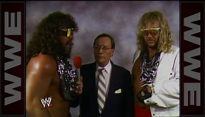 The Steiners vs. The Fabulous Freebirds: Clash of the Champions VIII