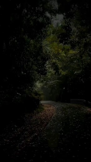 Healing Journey Reflections: Setting Boundaries and Self-Care