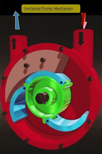 Centripetal Pump Mechanism | How Fluid Moves Inside the Pump ⚙️ #shorts