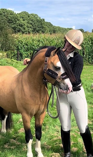 Introducing Super Mr. Elmer: Our Dream Pony Team Member