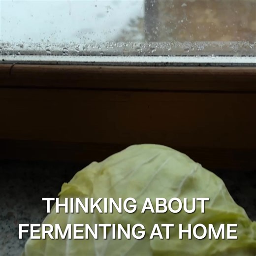 Kefirko Veggie Fermenter creates the perfect conditions for anaerobic fermentation — so you can make crunchy, healthy, umami-rich ferments at home. Designed to: ✅Release pressure during fermentation ✅Lock out air — no oxygen in ✅Glass weight & pressing spring keep vegetables fully submerged ✅Neutralize odors with a carbon filter ✅Use high-quality, food-safe glass We’ve got you covered: ✅Step-by-step guidance & fermentation support ✅Access to the Kefirko Club with endless delicious, expert-made r