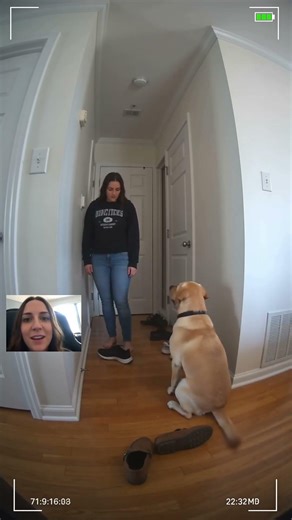 Hallway cam caught the smartest Labrador ever. #shorts #labrador #SmartDog