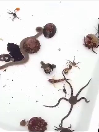 a pista do techno quando amanhece