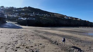 Between a wobbly whippet and a wondering greyhound I thank you for joining us. | Billy Whippet