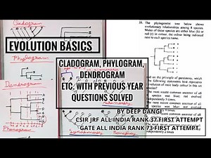 Evolution Basics Cladogram, Phylogram, Dendrogram, phylogenetic tree csir net, CSIR Net JRF question