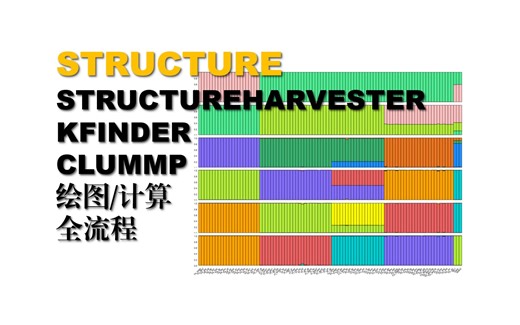 【7memo|种群遗传学】structure群体遗传结构运算及绘图（kfinder harvester clummp）