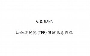 切向流过滤(TFF)浓缩病毒颗粒——3_TFF预组装_1