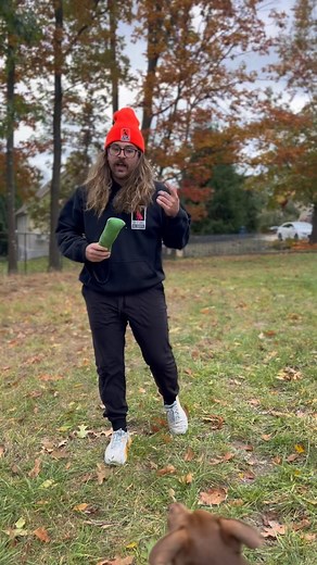 Drop means drop, and don’t retake. just because I put a ball on the ground does not mean it’s your turn to get the ball. This piggy backs off of my latest video about play and how often you can use play to reinforce your rules and boundaries to improve your dogs impulse control. at one point during your play of tug or fetch, you need to make sure that you’re practicing putting the toy on the ground, and have your dog understand that nobody is touching the ball or toy right now. That amount of im