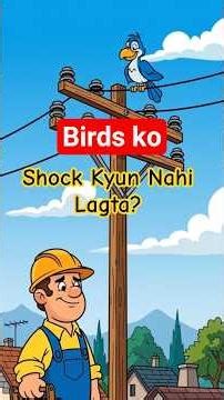 Day 43/365, Chidiya ko Current kyun nahi lagta? | Birds vs Electricity #electrical