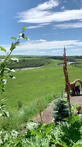 “I have been on the farm for 31 years, 31 fantastic years ...” Paul Hamer | Saskatoon Farm