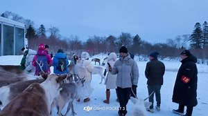 Girl slips in snow while surrounded by deer in Jilin, China