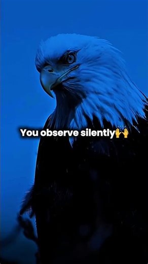 You observe silently 🔥🙌/sigma rule💪🏻💀 #motivation #selfgrowth #realtalk #mindsetmatters #fyp