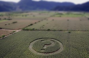 Handheld magnetrons for making crop circles?