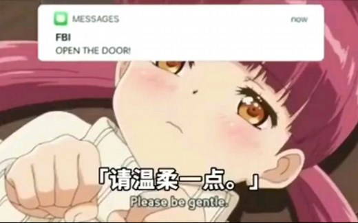 当FBI怀疑你在看里番时.....