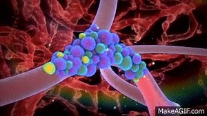 Nanoparticle drug delivery in cancer therapy on Make a GIF