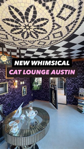 Yvette Arriaga | AUSTIN TEXAS INFLUENCER on Instagram: "NEW WHIMSICAL CAT LOUNGE IN AUSTIN Step into Wonderland, where magical cat cuddles await. @sydneyssanctuaryatx is Austin’s newest nonprofit cat lounge inspired by Alice in Wonderland and Bridgerton. Wander through enchanting spaces, explore the cat patio with a maze, and sip tea, non-alcoholic drinks, or cocktails as you play and cuddle with the adoptable cats. Sessions will book up FAST! 🐾 Sessions start at $25 🌸 Cat patio with a maze 🐈