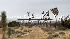 11 reactions | Barker Dam Nature Trail Joshua Tree NP | Wandering Out Yonder | Facebook