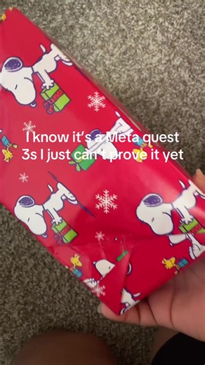 Meta Quest 3S Insights in Five Days