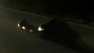 திம்பம் கொண்டை ஊசி வளைவில் கஷ்டப்பட்டு ஏறிய வாகனங்கள்.. குறுக்கே 10 அடி நீள மலைப்பாம்பு- திக் வீடியோ