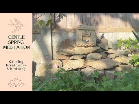 8 min Spring Meditation for Calm & Grounding | Breathing to slow the nervous system