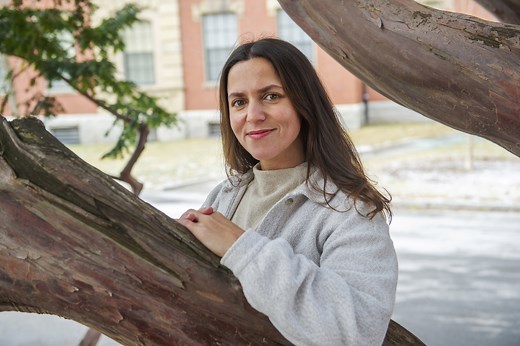 Mars surface shaped by catastrophic flooding