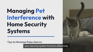Managing Pet Interference with Security