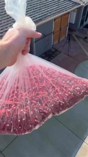 You must watch this how cool! #fyp #fypシ #viral #christiantiktok #jesus