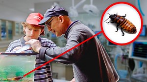 20K views · 461 reactions | CALLING A VET FOR A COCKROACH PRANK | Misfit Minds | Facebook