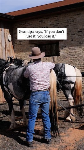 Beef is our passion, but legacy and tradition keep us going. 💪 Lazy T Ranch exists, not only to honor our heritage now, but to continue the story of the Old West for generations. Do you think heritage is important? Should old-fashioned ranching be protected? #ranch #ranching #beef #cowboy #western #cowboys #wyoming #ranchlife #country #simplelife #countryboy #cowgirl #homestead #farming #slowlife | Lazy T Ranch