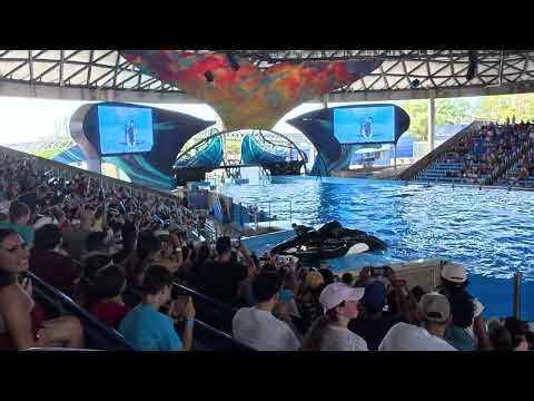 SeaWorld San Antonio