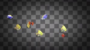 Small Sea Fish Swimming Alpha Channels