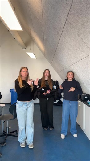 Dance Expressions in Scandinavia