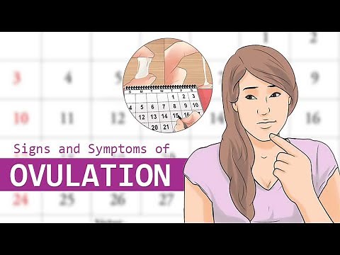 What is Ovulation?