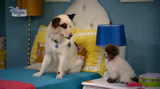 Dog with a blog s03 ep17