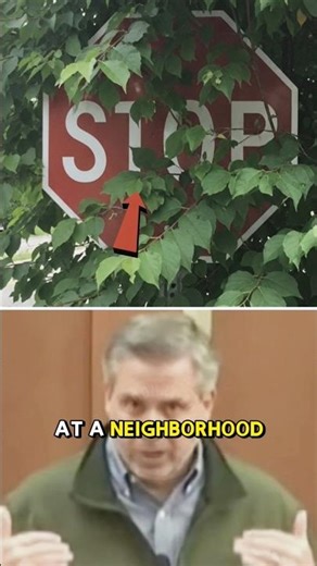 City Issued a Citation for a Stop Sign Hidden by Branches !! Judge Reacts 🫡