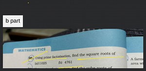 MATHEMATICS Using prime factorisation, find the square roots of... | Filo