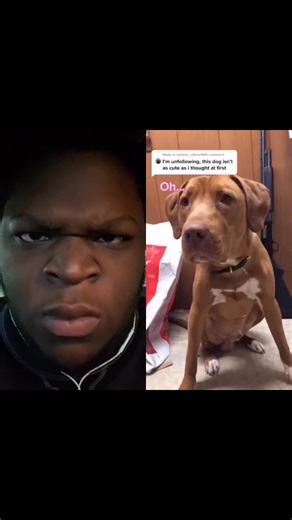 Im your new friend now!! | Angryreactions