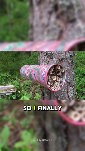 Where I hung my DIY insect hotels
