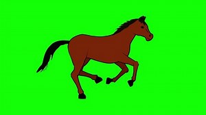 2d Animation Horse Cartoon Runs Green Stock Footage Video (100% Royalty-free) 1094897827 | Shutterstock